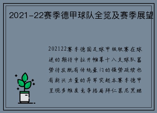 2021-22赛季德甲球队全览及赛季展望