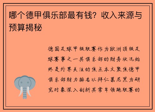 哪个德甲俱乐部最有钱？收入来源与预算揭秘