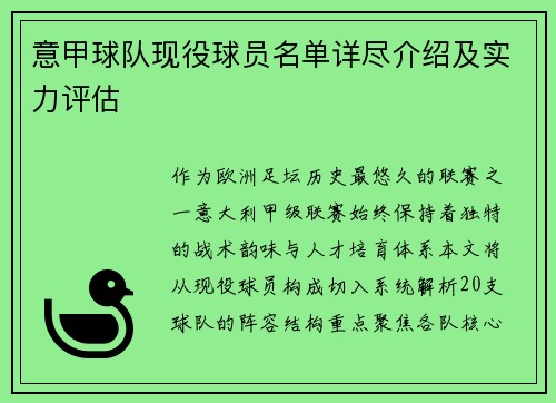 意甲球队现役球员名单详尽介绍及实力评估